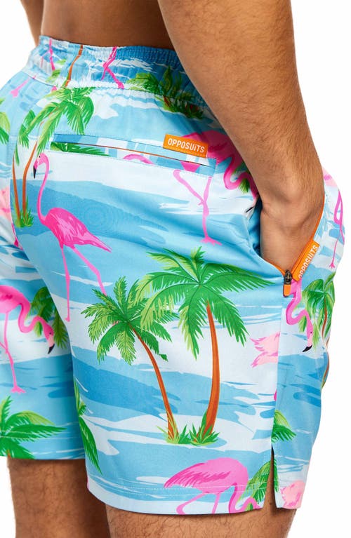Opposuits Flaminguy Stretch Swim Trunks In Multi