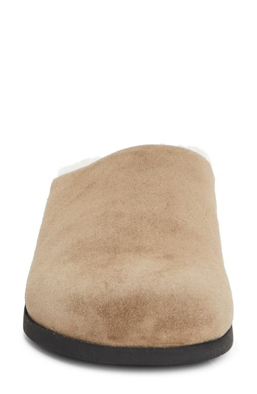 Common Projects Suede & Genuine Shearling Clog In Brown
