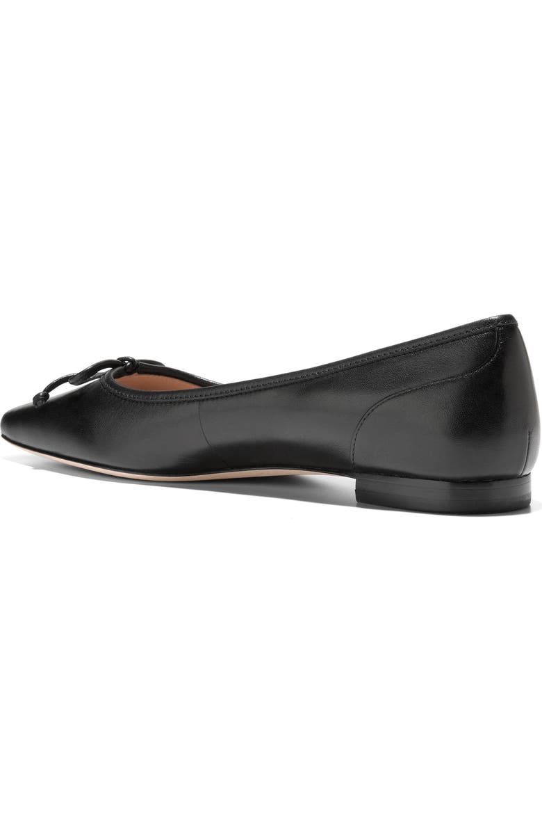 Cole Haan Chlea Pointed Toe Ballet Flat, Alternate, color,