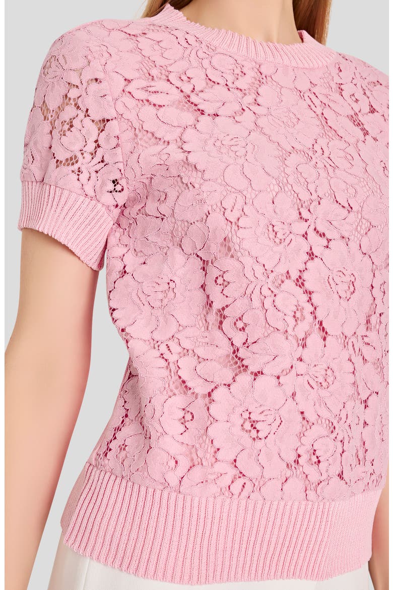 Lace Front Sweater, Alternate, color, TEA ROSE