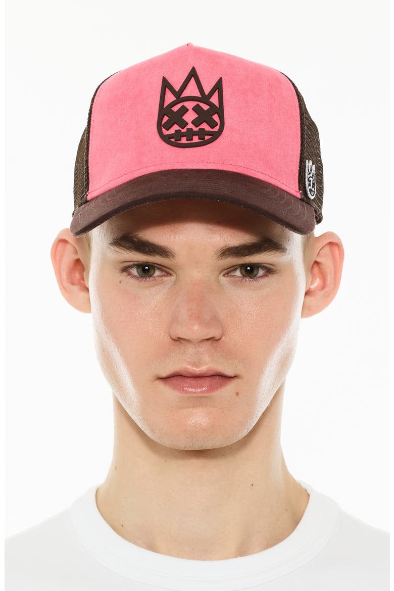 Logo Mesh Back Suede Trucker Hat, Main, color, CONFETTI