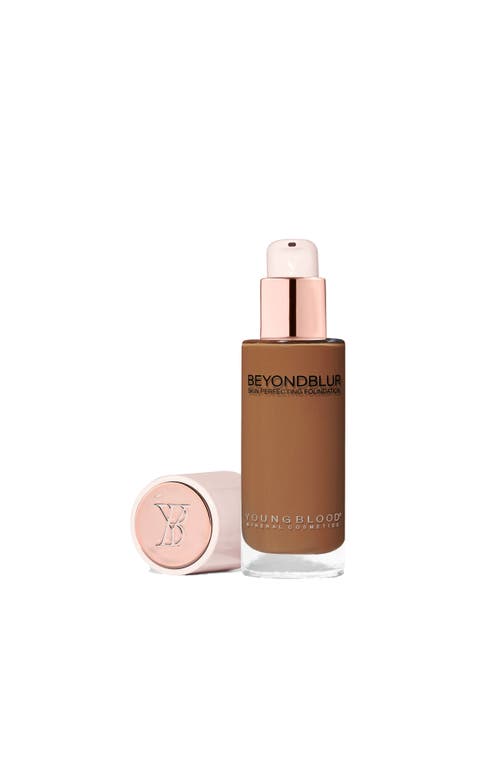 Youngblood Mineral Cosmetics Beyondblur Skin Perfecting Foundation