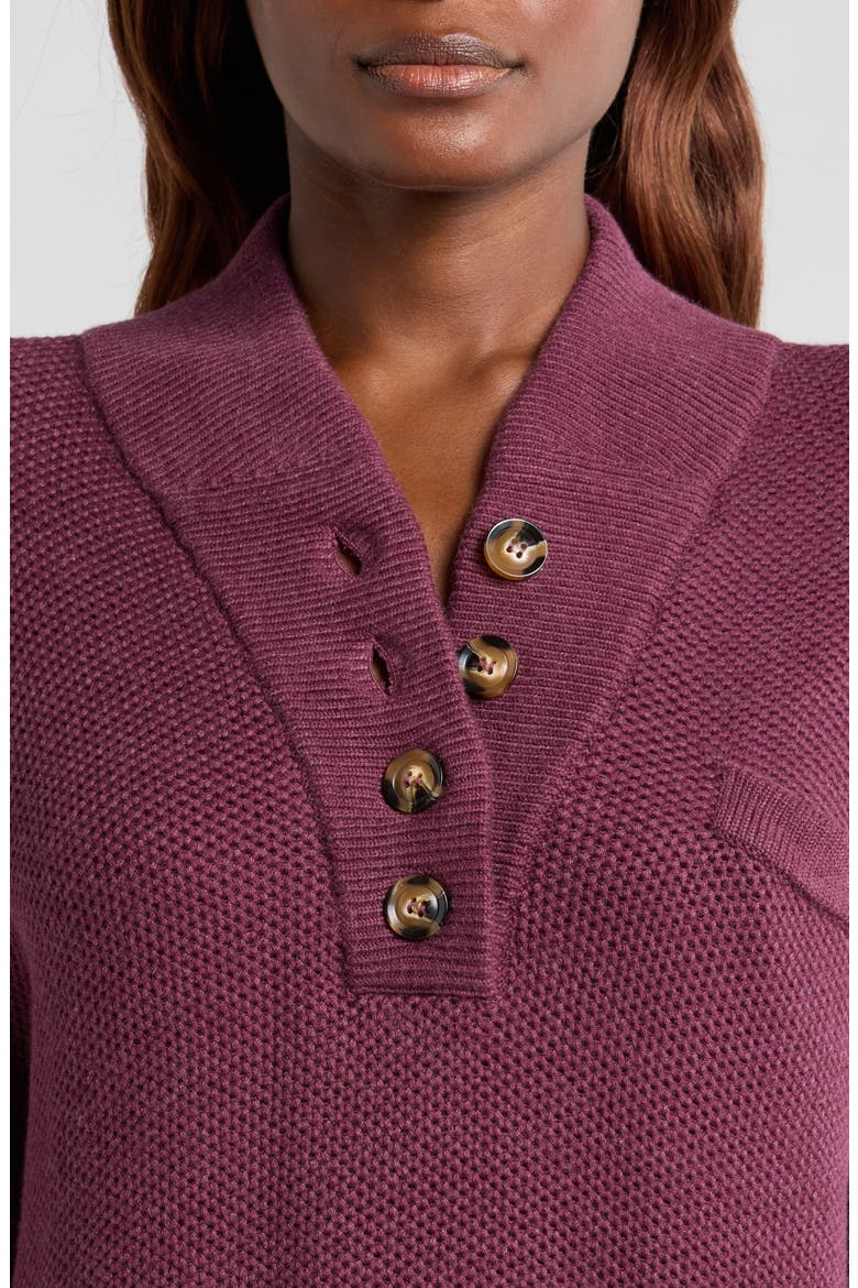 Cottonsilk™ Organic Cotton Blend Pocket Henley, Alternate, color, BRANDIED PLUM
