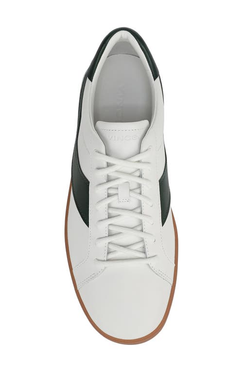 Vince Olli Low Top Sneaker In Multi