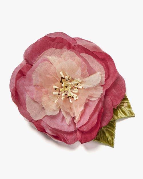 Helena Simon The Camellia In Pink