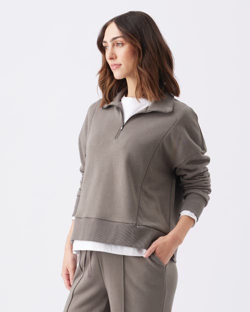 Ripe Maternity Comfortable Terry Nursing Sweatshirt For Moms In Brown
