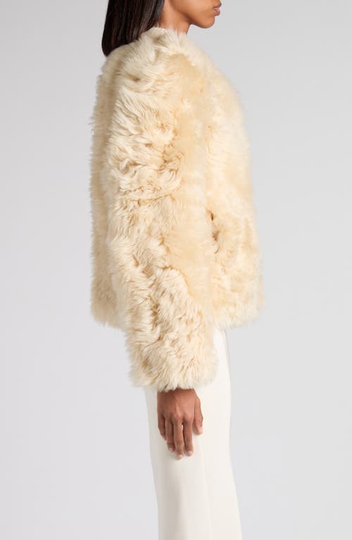 Tom Ford Curly Genuine Shearling Jacket In Yellow