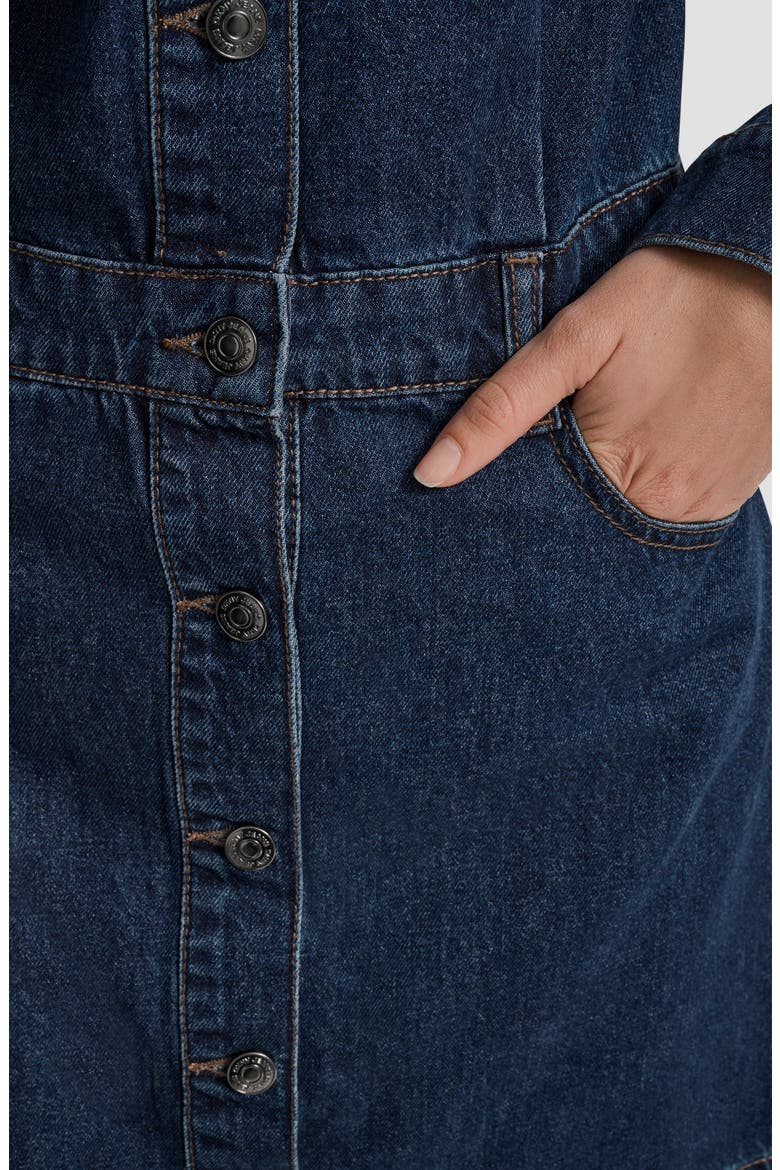 Long Sleeve Denim Shirtdress, Alternate, color, ELERY