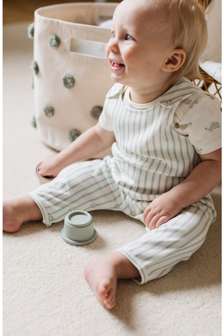 Stripe Organic Cotton Overall, Alternate, color, STRIPES AWAY SEA