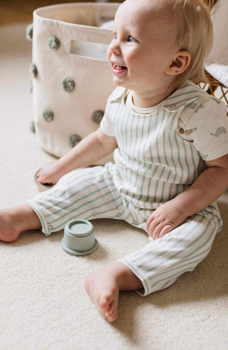 Pehr Stripes Away Organic Cotton Overalls, Alternate, color, 