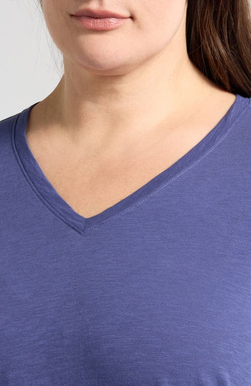 Eileen Fisher Easy V-neck Organic Cotton T-shirt In Bluette