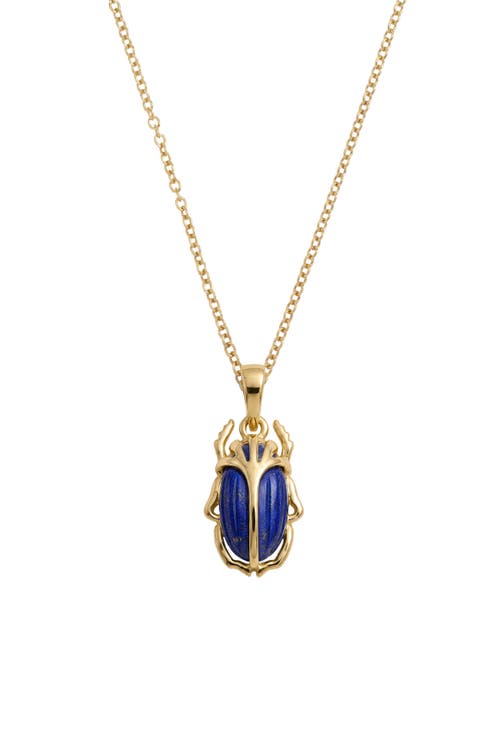 Carved Death Beetle Gemstone Pendant Necklace