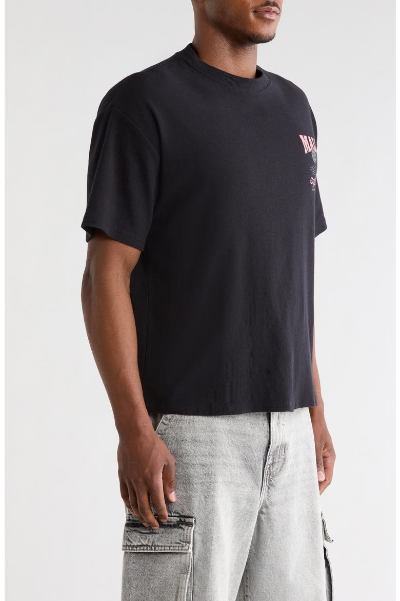 Malibu Graphic Cotton T-Shirt, Alternate, color, BLACK