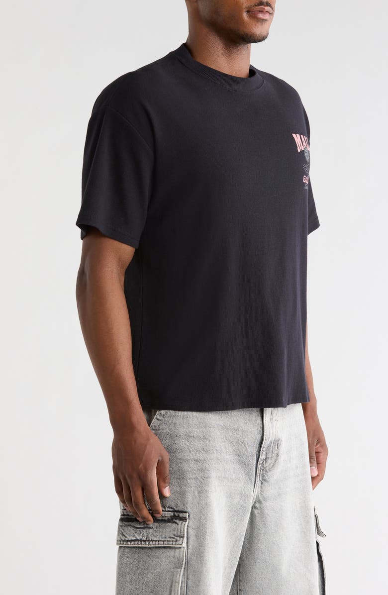 PacSun Malibu Graphic Cotton T-Shirt, Alternate, color, Black