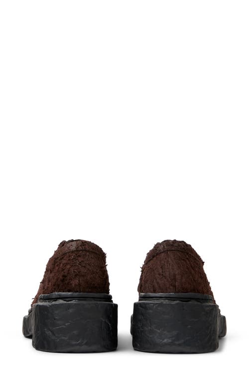 Camperlab Vamonos Derby In Dark Brown