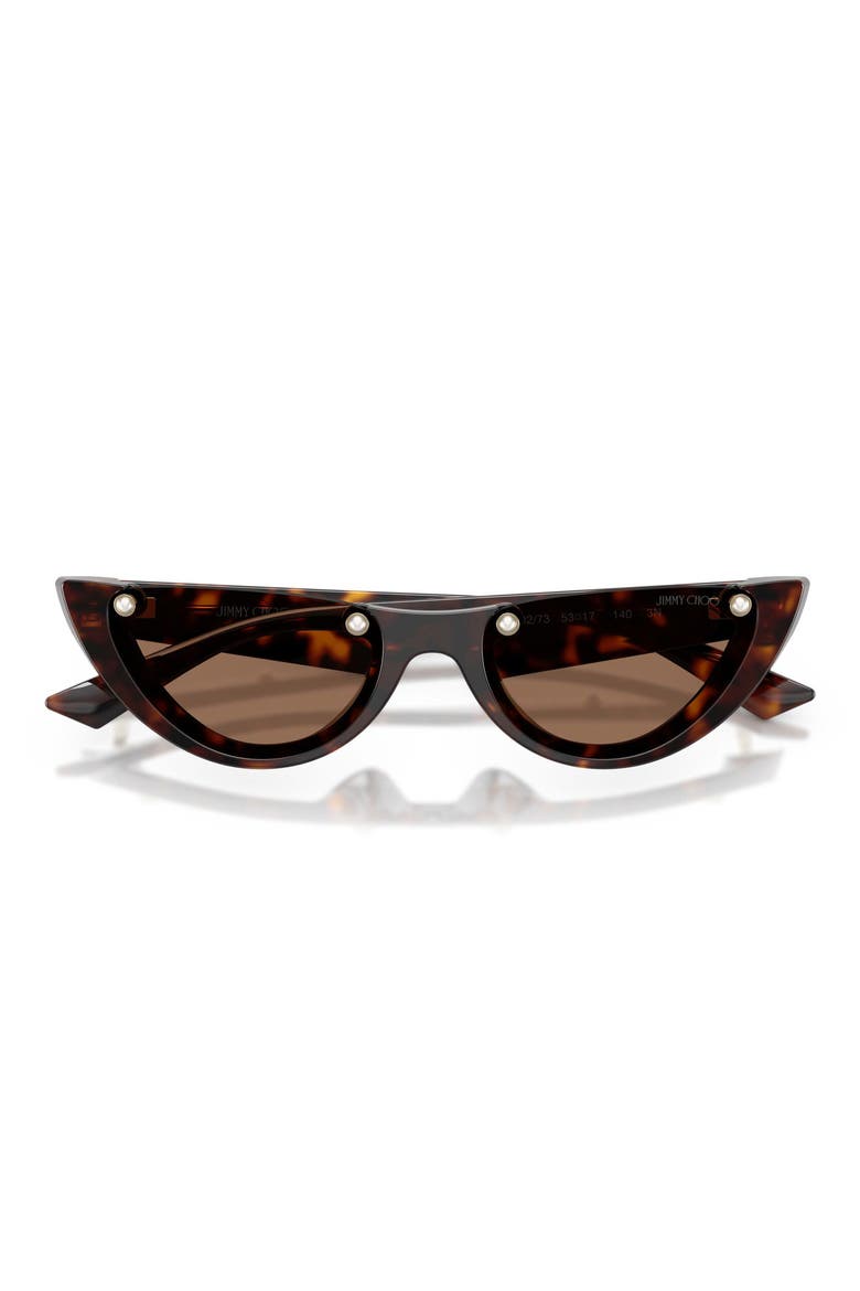 53mm Semi Rimless Oval Sunglasses, Alternate, color, HAVANA / DARK BROWN