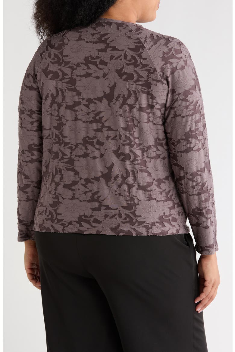 Raglan Long Sleeve Top, Alternate, color, TAUPE