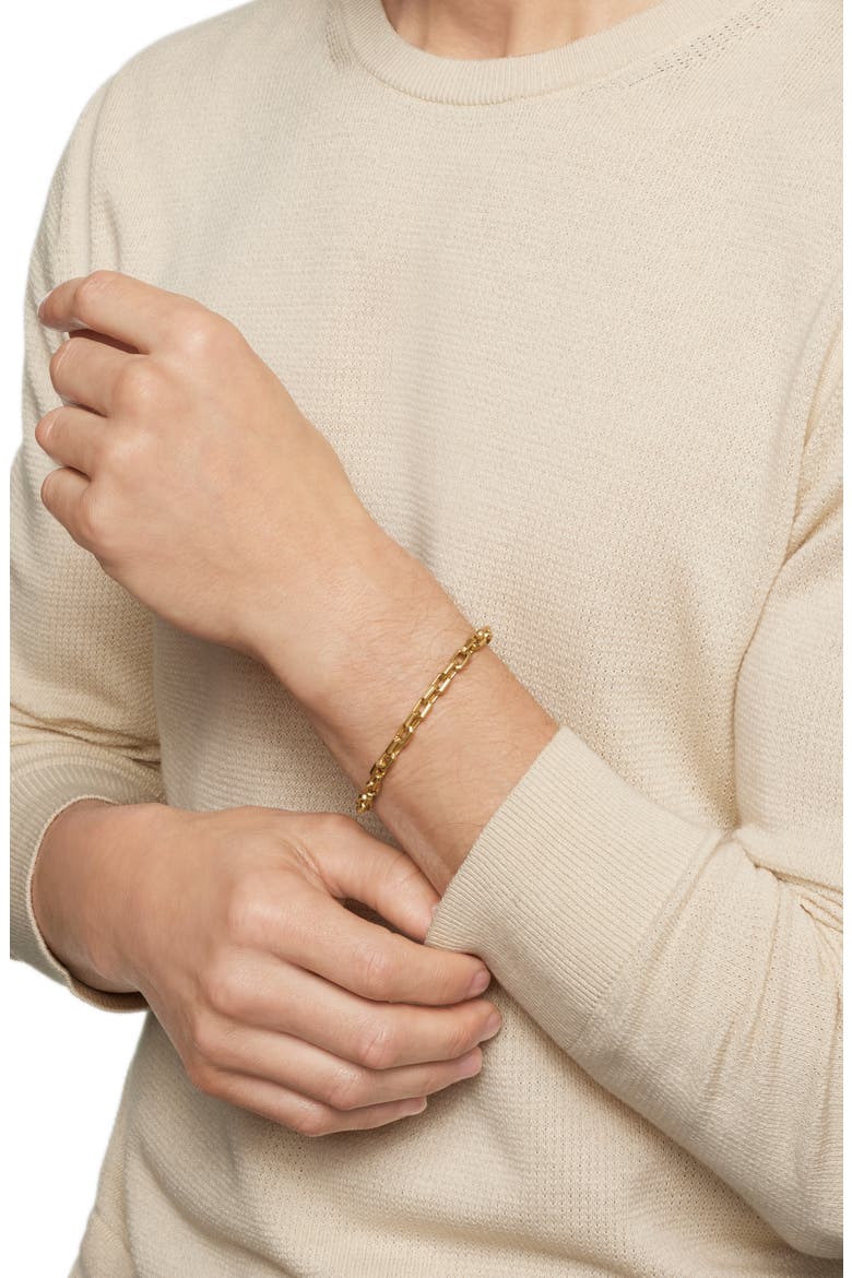 Streamline® Heirloom Chain Link Bracelet in 18K Gold, 5.5mm, Alternate, color, 18K YELLOW GOLD