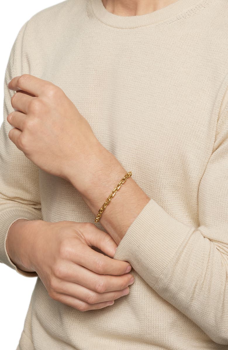 David Yurman Streamline<sup>®</sup> Heirloom Chain Link Bracelet in 18K Gold, 5.5mm, Alternate, color, 18K Yellow Gold