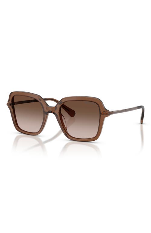 Swarovski 50mm Small Irregular Sunglasses In Brown