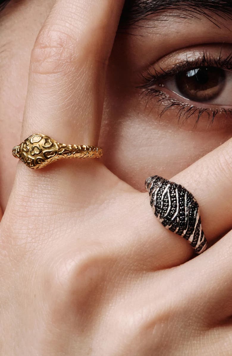 Awe Inspired Leopard Print Signet Ring, Alternate, color,