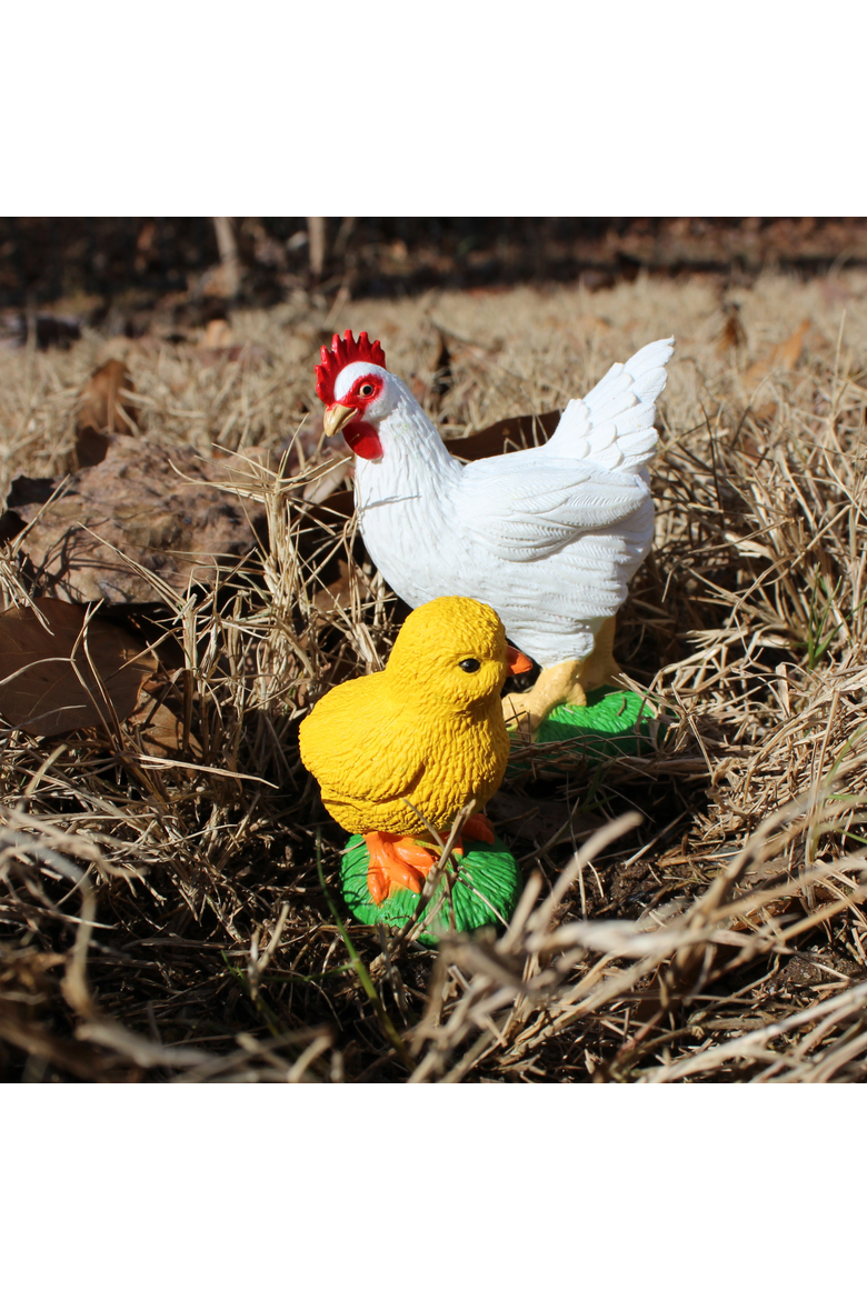 Life Cycle Of A Chicken, Alternate, color, No Color
