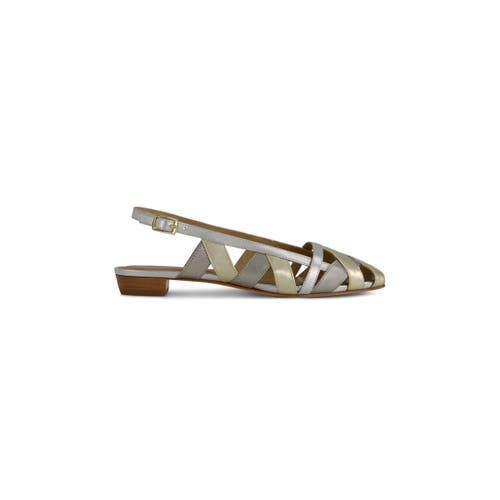 BERNARDO FOOTWEAR BERNARDO FOOTWEAR GLINDA FLAT 