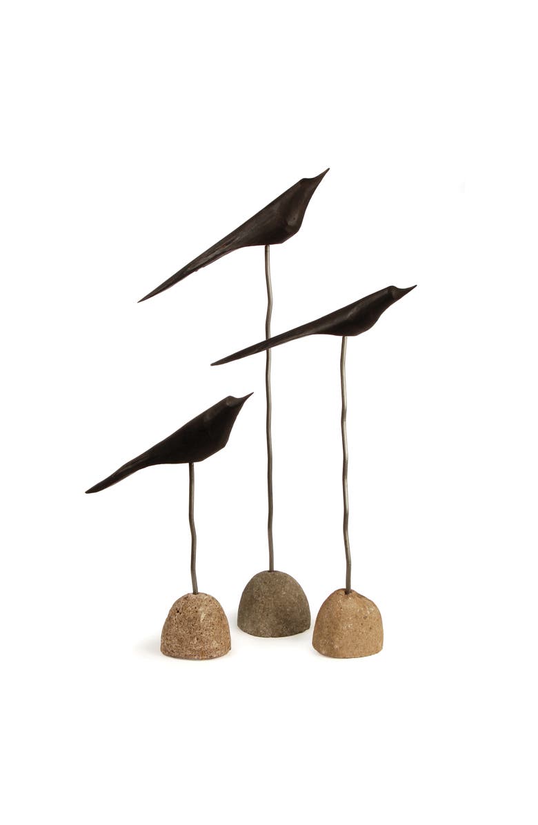 Napa Home & Garden The Flock Set of 3, Main, color, Black