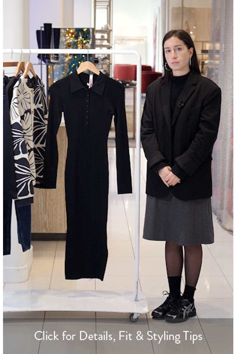 Sabra Long Sleeve Rib Sweater Dress video