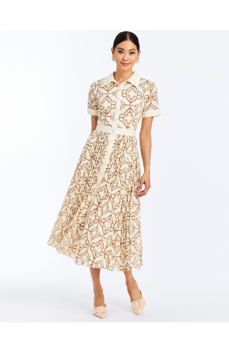 Mestiza New York Billie Collared Shirt Dress, Alternate, color, Brown