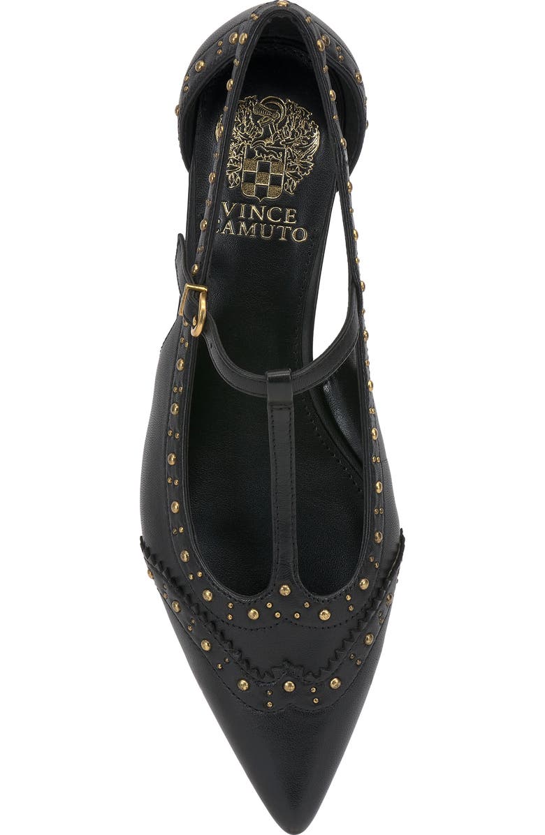 Vince Camuto Valkie Pointed Toe Flat, Alternate, color, Black