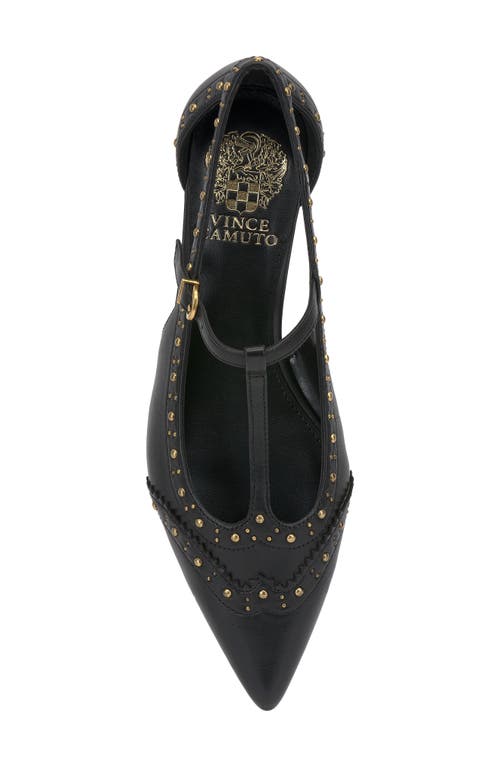 Vince Camuto Valkie Pointed Toe Flat In Black
