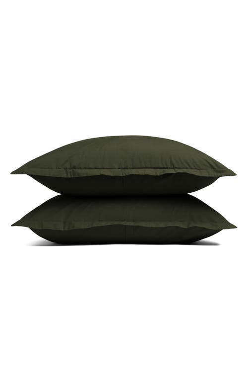 Parachute Set of 2 Brushed Cotton Shams in Evergreen 