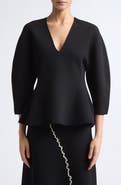 ASHLYN William V-Neck Knit Blouse