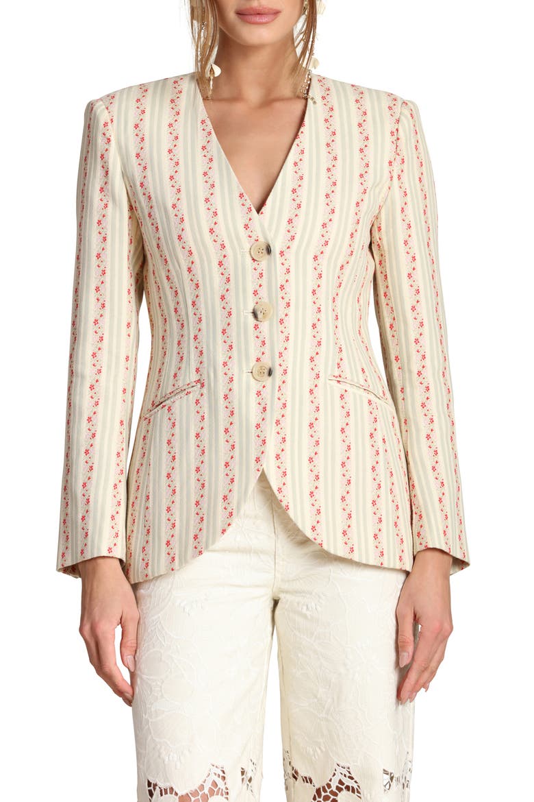 Floral Brocade Cotton Blazer, Alternate, color, ROSE STRIPE MULTI