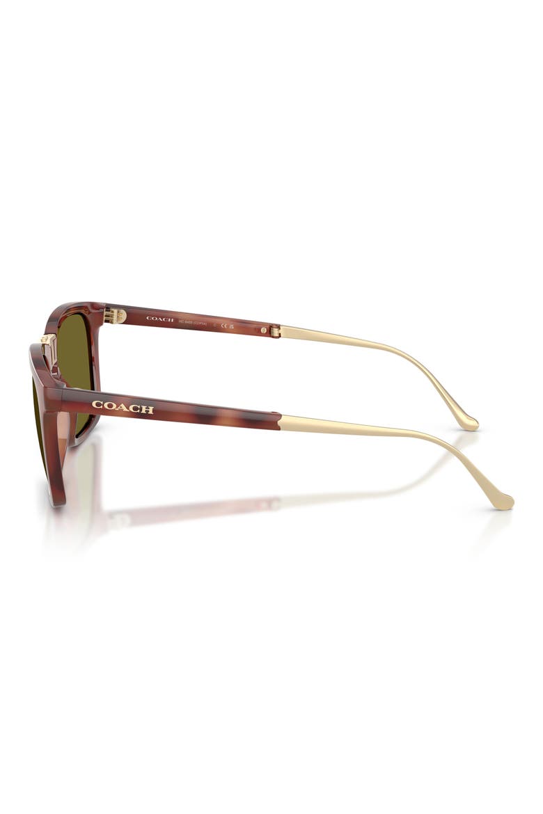 56mm Square Sunglasses, Alternate, color, CARAMEL TORTOISE / GREEN SOLID