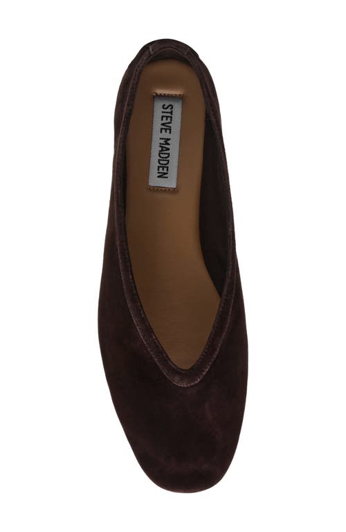 Shop Steve Madden Leni Flat In Brown Suede