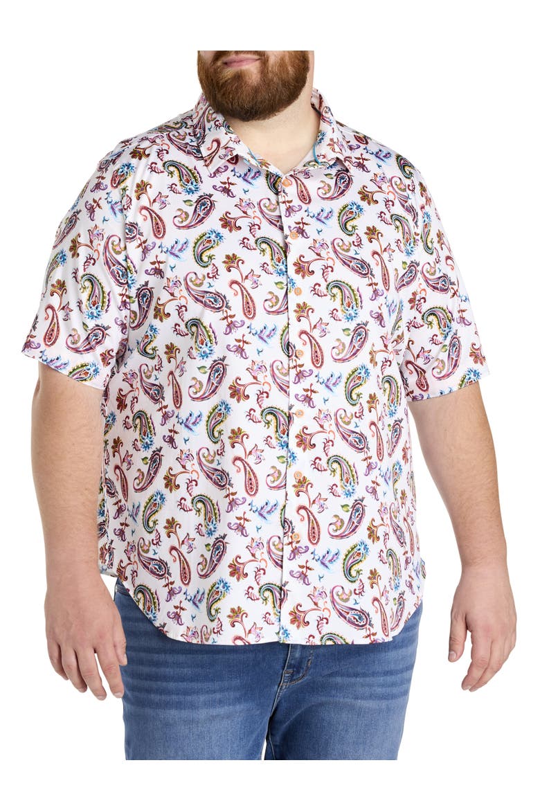 Big & Tall  Tangier Paisley Print Sport Shirt, Alternate, color, RED