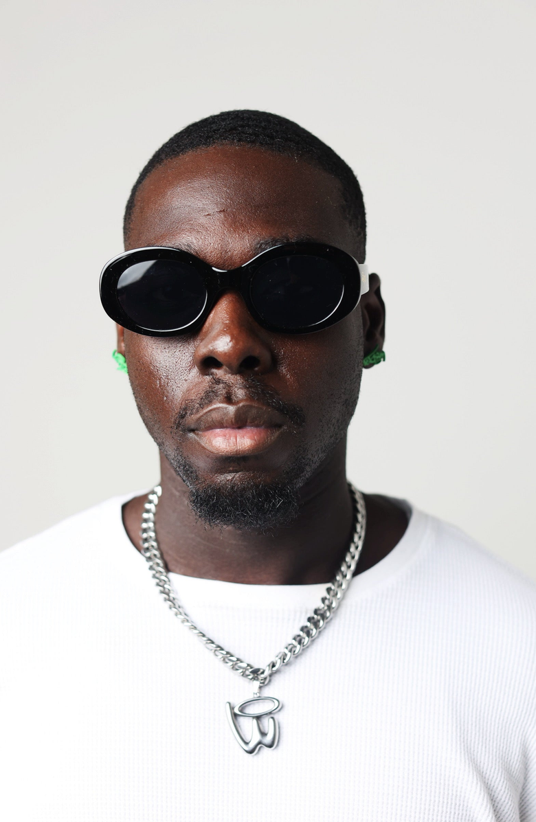 Wisdom Fashion House Oval Cat Frame 16, Alternate, color, Black