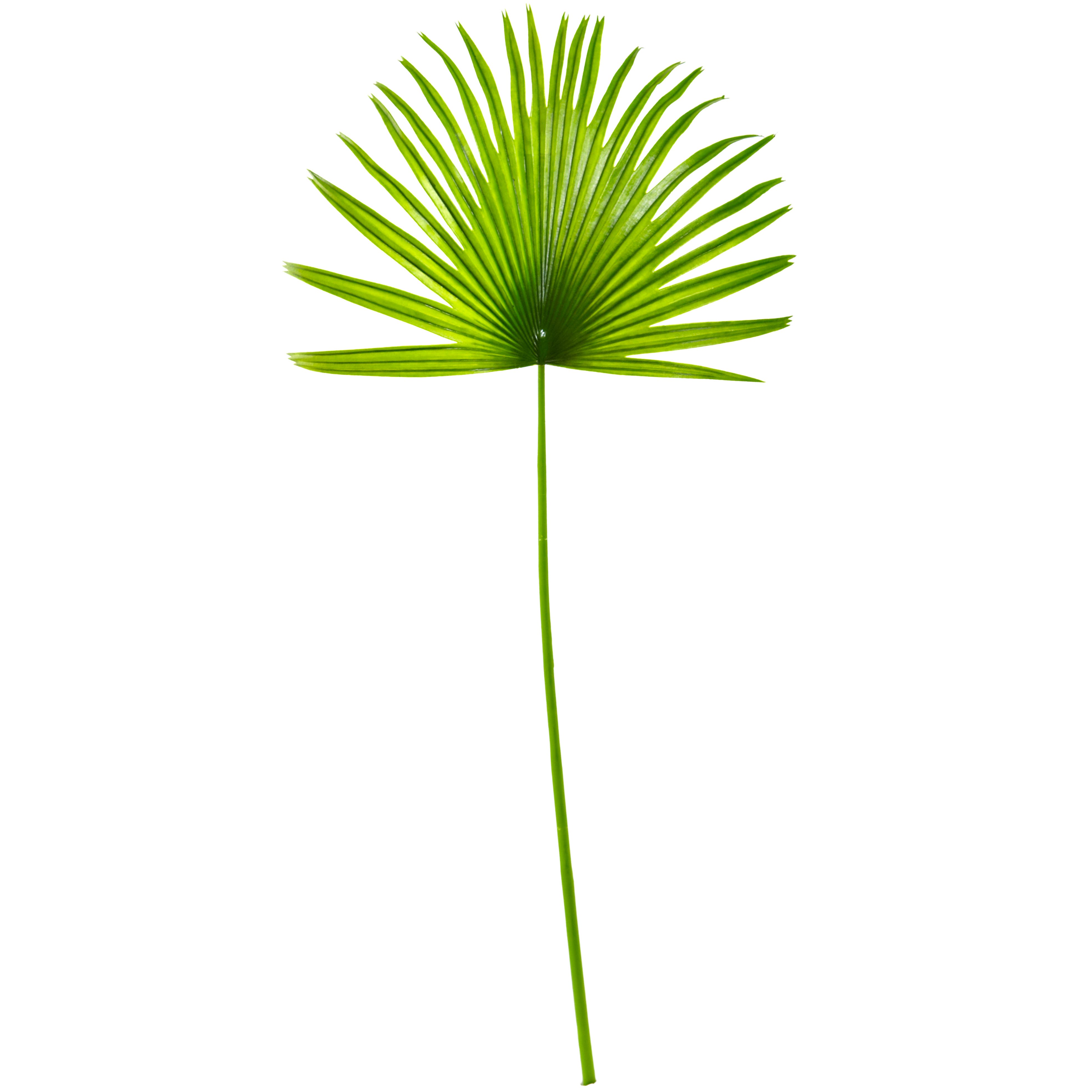 selected Green