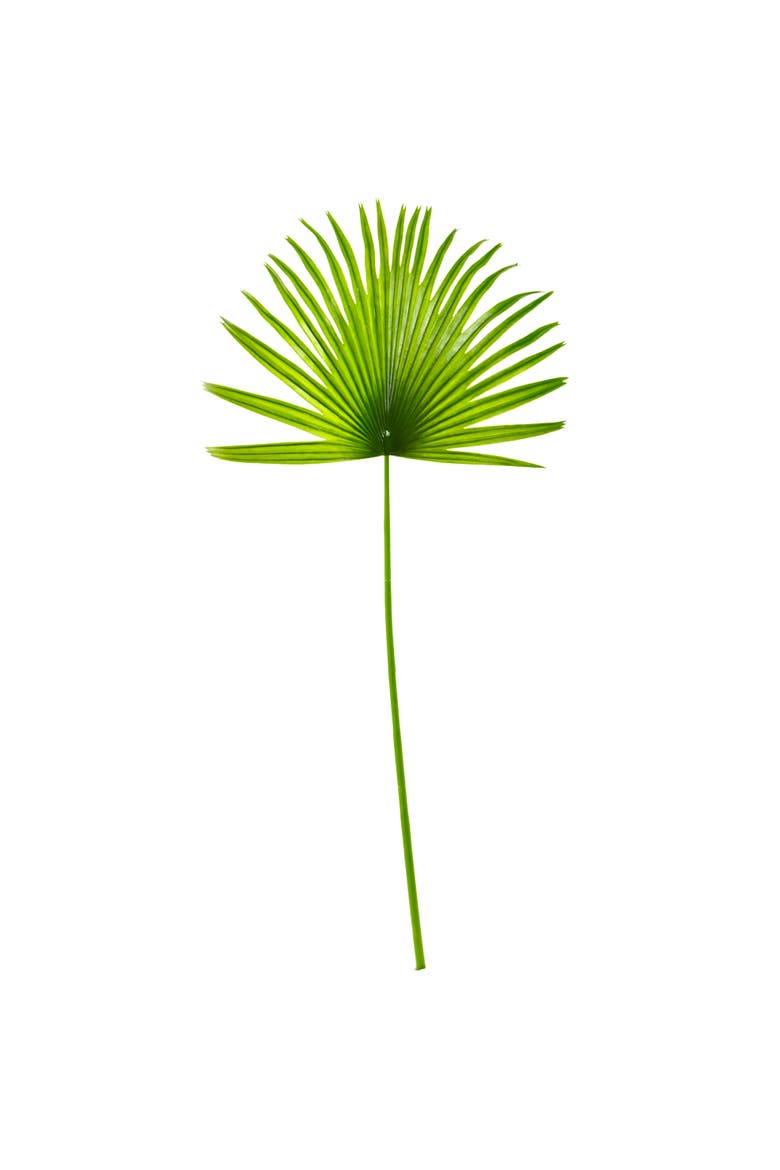 33-in Fan Palm Artificial Spray Plant, Main, color, Green