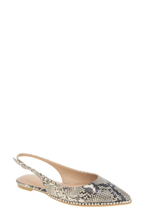 bcbg Valerie Slingback Pointed Toe Flat in Snake 