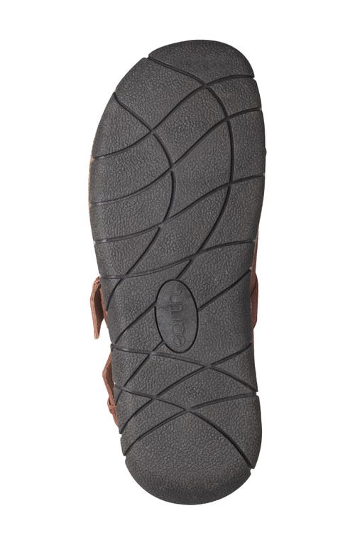 Earth Women's Elmonte Slingback Clogs In Brown