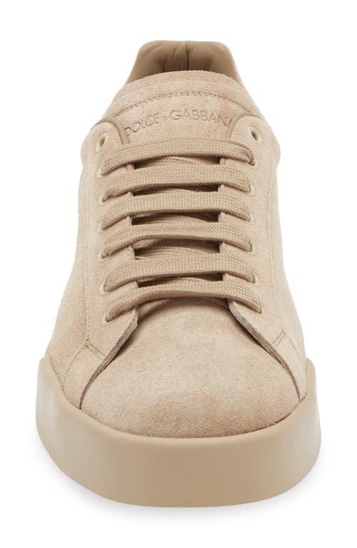Dolce & Gabbana Dolce&gabbana Perforated Logo Low Top Sneaker In 80703-sabbia