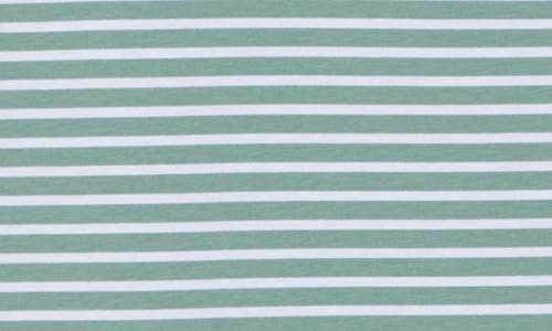 Ruby Rd. Plus Size Floral Stripe Jersey Top In Blue