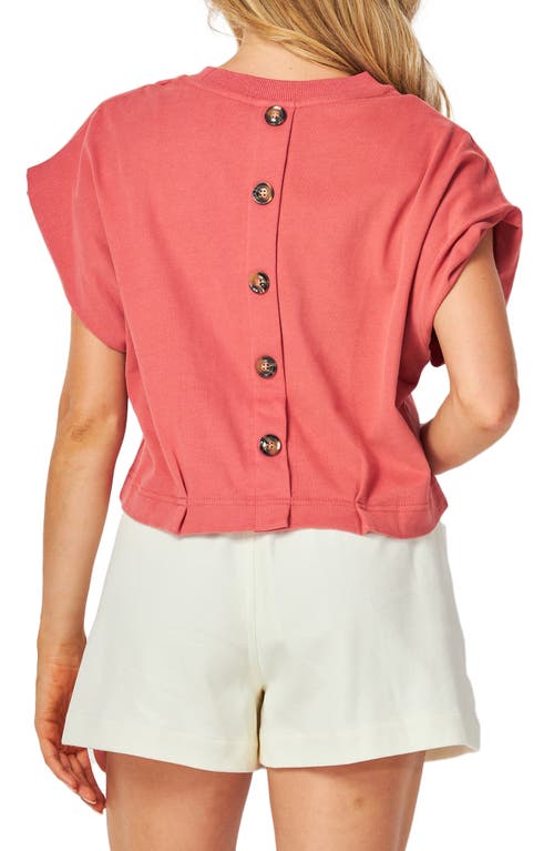 Bluegrey Button Back Cuffed Short Sleeve Top