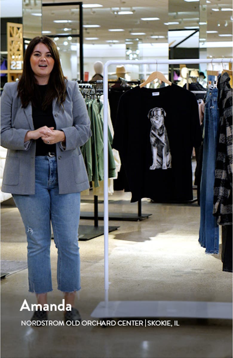 Dylan Oversize Ski Dog Graphic T-Shirt, sales video thumbnail