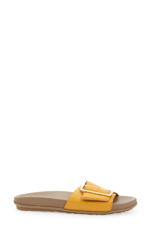 Naot Tahiti Slide Sandal In Marigold Leather