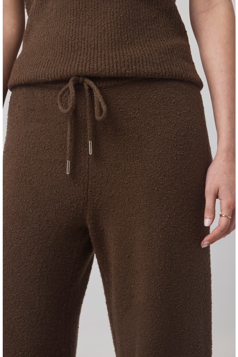 x @cellajaneblog Bouclé Sweat Pants, Alternate, color, TRUFFLE