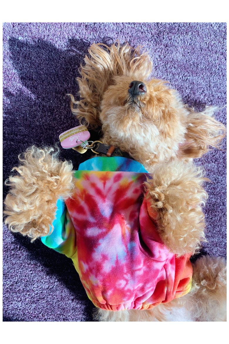 Rainbow Tie-Dye Dog Tee, Alternate, color, RAINBOW
